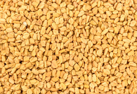 Background of dry bean fenugreek close upの写真素材