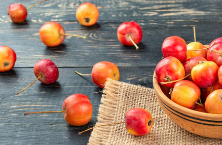 Paradise apples in a bowl and scattered on a dark tableの写真素材