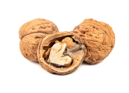 Two walnuts with half on white backgroundの写真素材