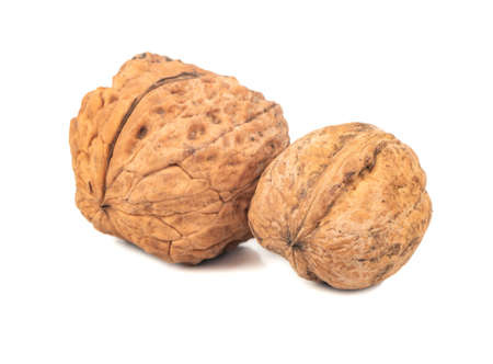 Large and small walnut isolated on white backgroundの写真素材
