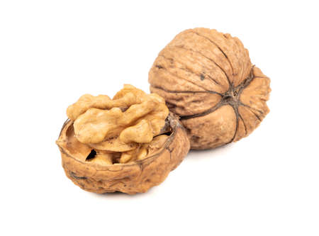 Dry walnut with half isolated on white backgroundの写真素材