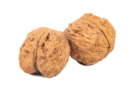 Two dry large walnuts on white backgroundの写真素材