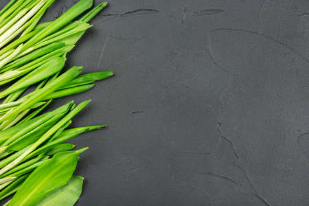 Scattered leaves of fresh wild garlic on a concrete background