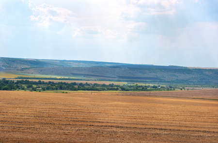 Field with hills in Ukraine on a sunny summer dayの写真素材