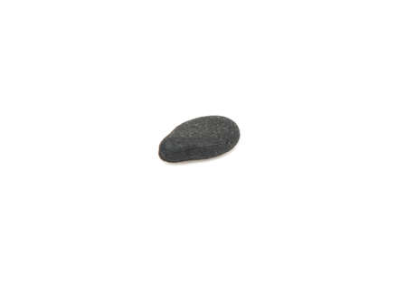 One grain of black sesame close up isolated on white background