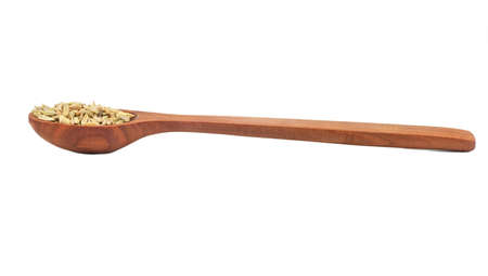 Wooden spoon with dry fennel isolated on white backgroundの写真素材