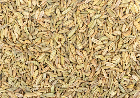 Background from scattered dry spices fennel close upの写真素材