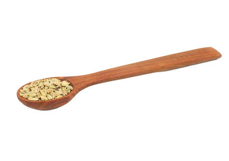 Dry fennel in wooden spoon isolated on white backgroundの写真素材