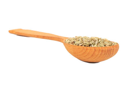 Spice dry fennel in a large wooden spoon on white backgroundの写真素材