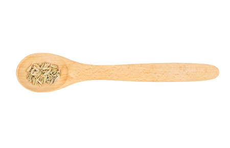 Small wooden spoon with dry fennel isolated on white background, top viewの写真素材