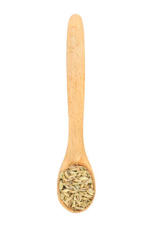 Dry fennel in wooden spoon isolated on white background, top viewの写真素材