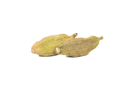 Green dry cardamom isolated on white backgroundの写真素材