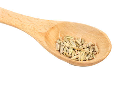 Small wooden spoon with dry fennel closeup isolated on white backgroundの写真素材