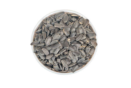 Sunflower seeds in ceramic bowl on white background, top viewの写真素材