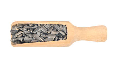Sunflower seeds in wooden scoop isolated on white background, top viewの写真素材
