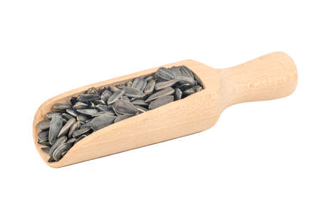 Sunflower seeds in wooden scoop isolated on white backgroundの写真素材