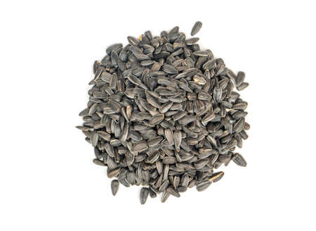 Bunch of sunflower seeds in a shell on a white background, top viewの写真素材