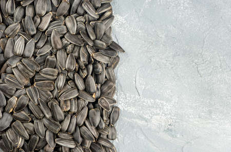 Scattered sunflower seeds in a shell on a concrete background, top viewの写真素材