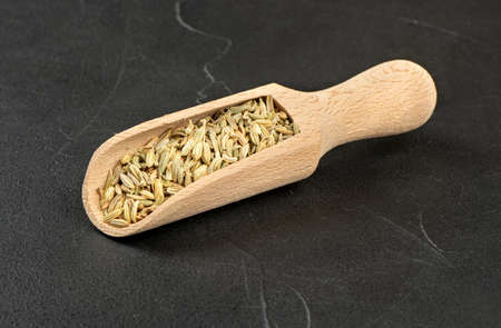 Wooden scoop with dry fennel on concrete backgroundの写真素材
