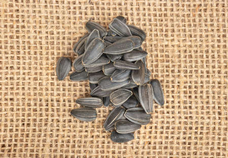Sunflower seeds in a shell on burlap closeup, top viewの写真素材