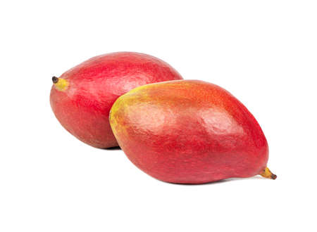 Two delicious red mango fruit isolated on a white backgroundの写真素材