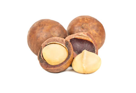 Delicious macadamia nuts with kernels on a white backgroundの写真素材