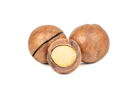 Macadamia nuts with a split half on a white backgroundの写真素材