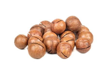 Pile of macadamia nuts in a shell on a white backgroundの写真素材