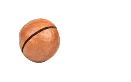 Macadamia nut in a shell on an empty white background subtextの写真素材