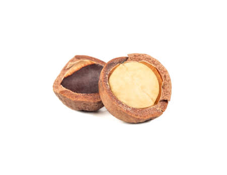Split macadamia nut isolated on white backgroundの写真素材