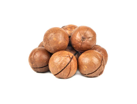 Small pile of macadamia nuts in a shell on a white backgroundの写真素材