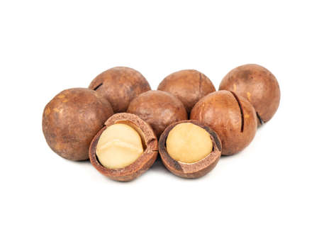 Macadamia nuts in a shell and without on a white backgroundの写真素材
