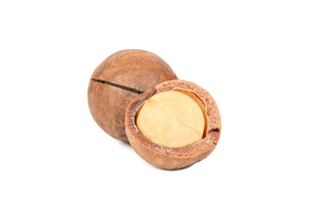 Split macadamia nut isolated on white backgroundの写真素材