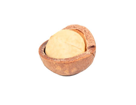 Open macadamia nut isolated on white backgroundの写真素材