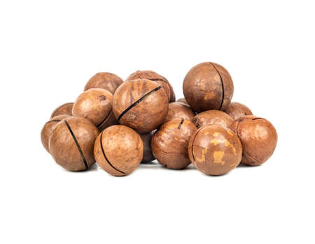 Pile of macadamia nuts in a shell on a white backgroundの写真素材
