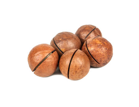 Several macadamia nuts on a white backgroundの写真素材
