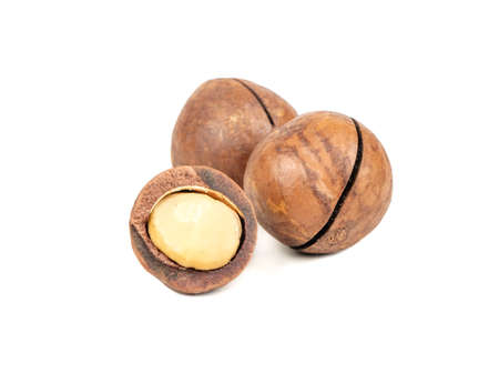 Two macadamia nuts with a half isolated on a white backgroundの写真素材