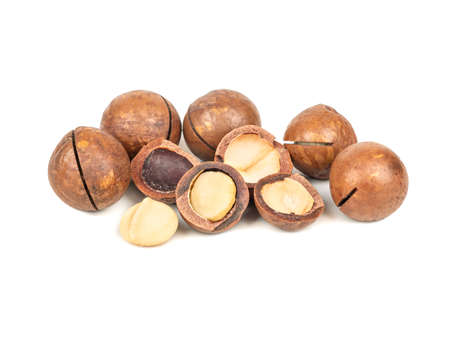 Macadamia nuts in a shell and without on a white backgroundの写真素材