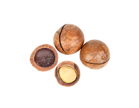 Macadamia nuts with a split half on a white background, top viewの写真素材