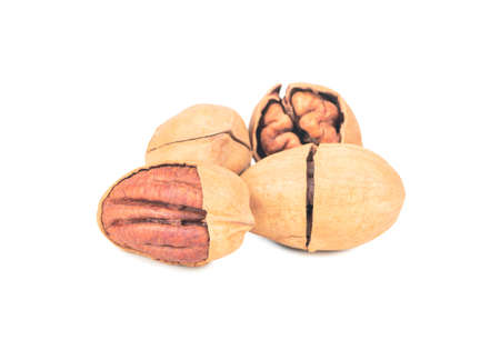 Several pecans in shell isolated on white backgroundの写真素材