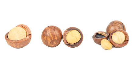 Macadamia nuts with peeled macadamia isolated on a white background. setの写真素材