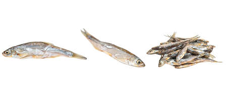 Dry small fish isolate on white background, setの写真素材