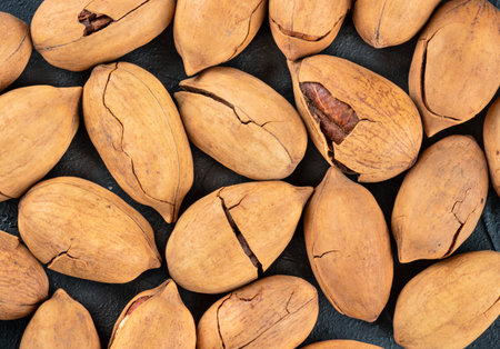 Scattered pecans in shell close up on a dark background, top viewの写真素材