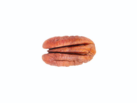 Half of dry pecan without shell isolated on white background, top view.