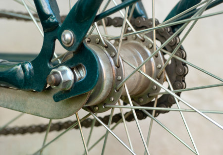 Rear wheel from a bicycle with a chain and spokes close-up on the street.の写真素材
