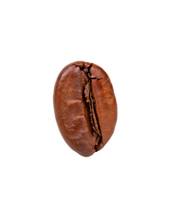 Single roasted coffee bean isolated on white background, closeupの写真素材