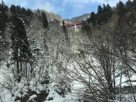 Japan forest with red bridge in winter.の写真素材