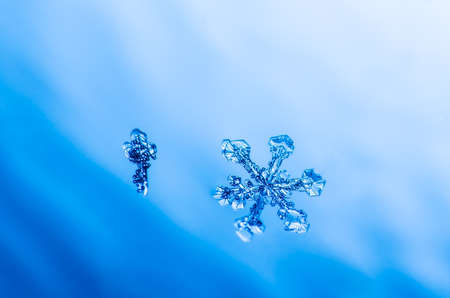 macro snowflake ice crystals present naturalの写真素材