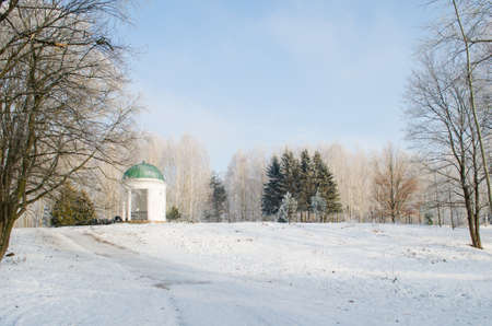 Trees covered with frost in a snowy forest.の写真素材