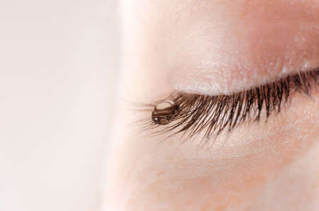 A tear on eyelashes closeup.の写真素材